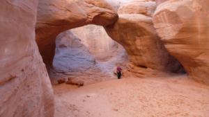 Beautiful-Arches-Enclosure 