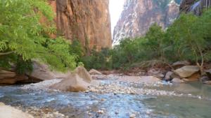 Where-our-walk-ended-in-Zion-Canyon 