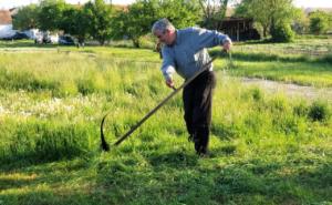 Cutting the grass w/o lawn mower or animals    