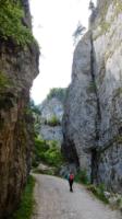 Hike in the gorge   