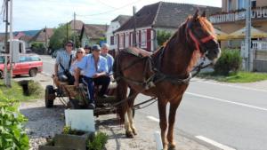 Cart ride in the country  