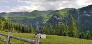 Maramures     