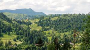 Maramures     