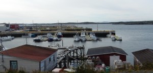 Arnolds-Cove-3     