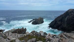Bonavista         