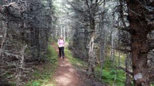 Cow-Head-Trail             