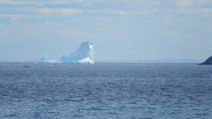 Englee-ice-berg                 