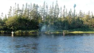 Fly-Fishing-Hawkes-Bay           