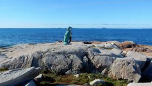 Great Auk Facing Great Auk in Ireland            