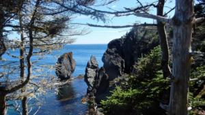 Skerwink Walk Trinity East         