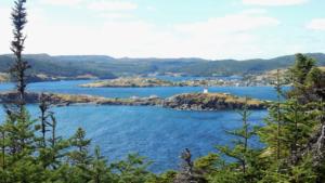 Skerwink Walk Trinity East         