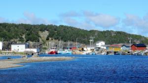 Trout-River               